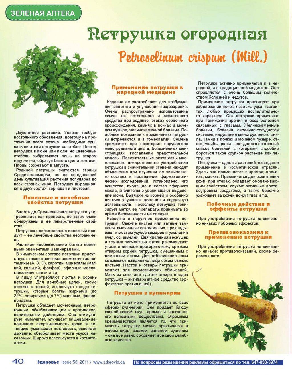 Укроп и петрушка для кожи лица