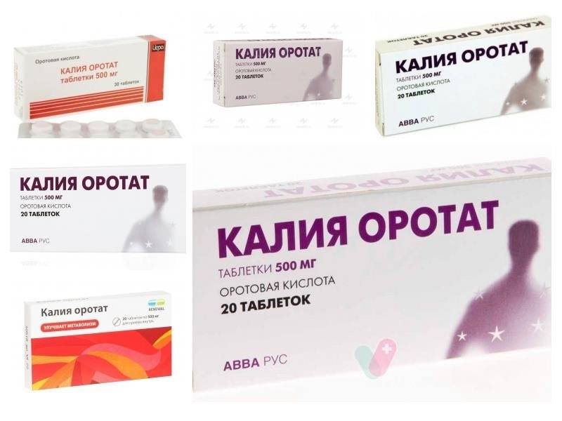 Оротат калия в бодибилдинге: как принимать, дозировка